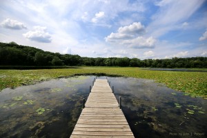 Lone-Lake-dock0