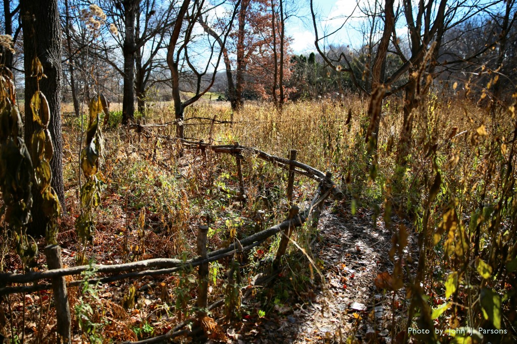 fallfences