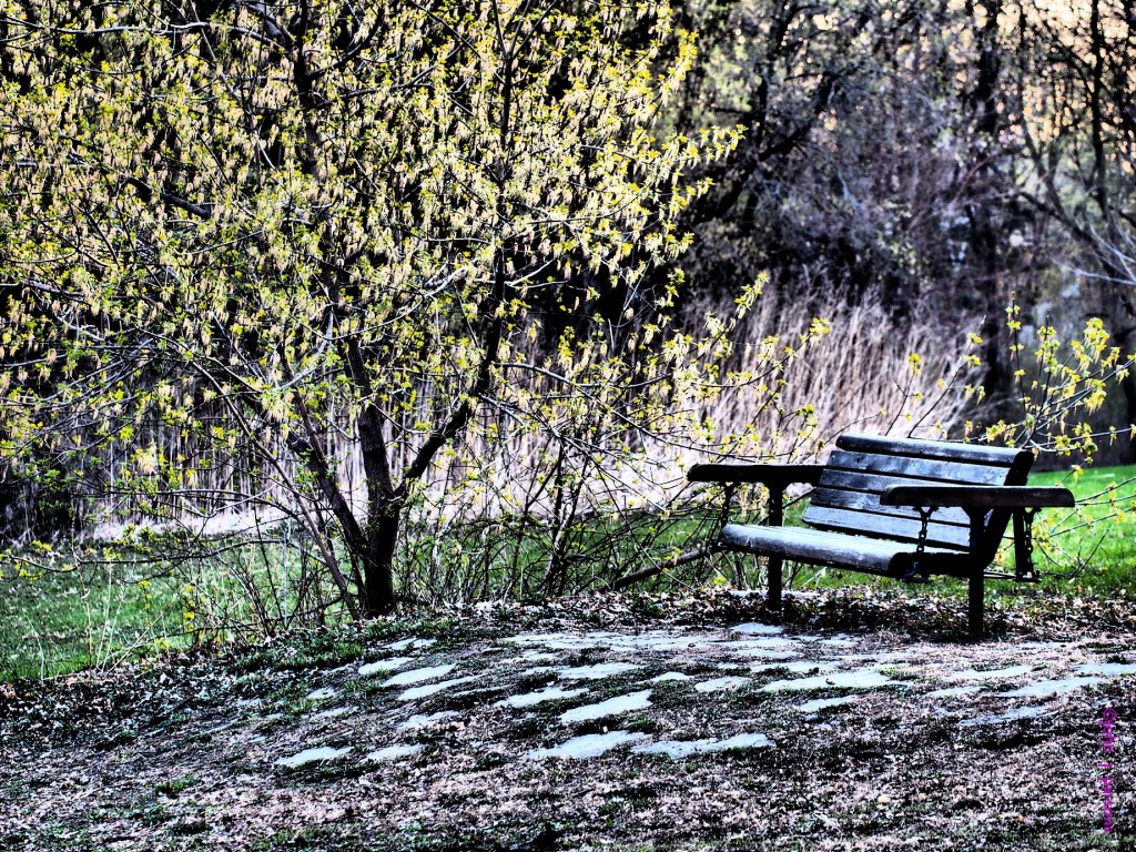 bench